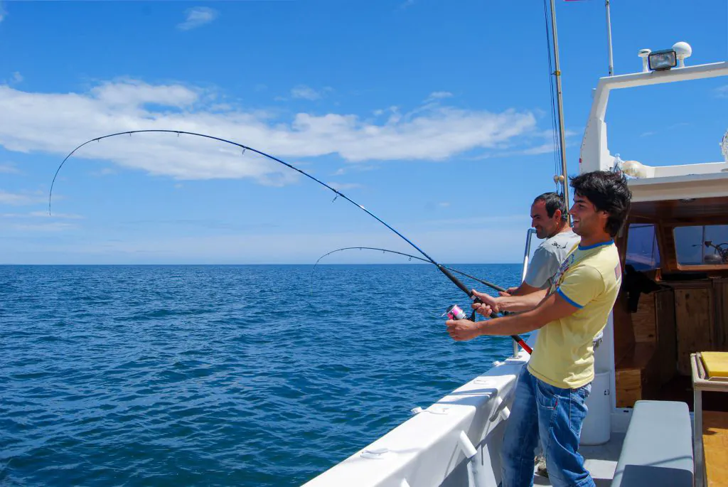 boat tour fishing trips in algarve with algarexperience
