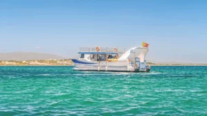 Barco da Discover by AlgarExperience a navegar em águas cristalinas do Algarve, com a costa e falésias ao fundo sob um céu limpo de verão.