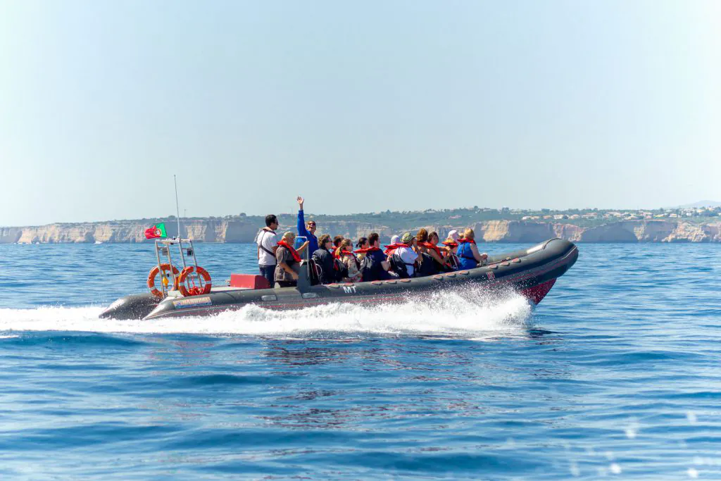 rib boat ocean drive to make dolphins and caves experience by algarexperience