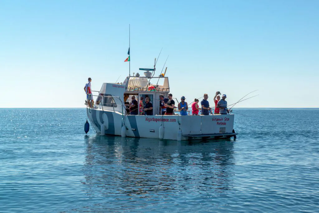 vitamin sea cabin boat for fishing tours by algarexperience
