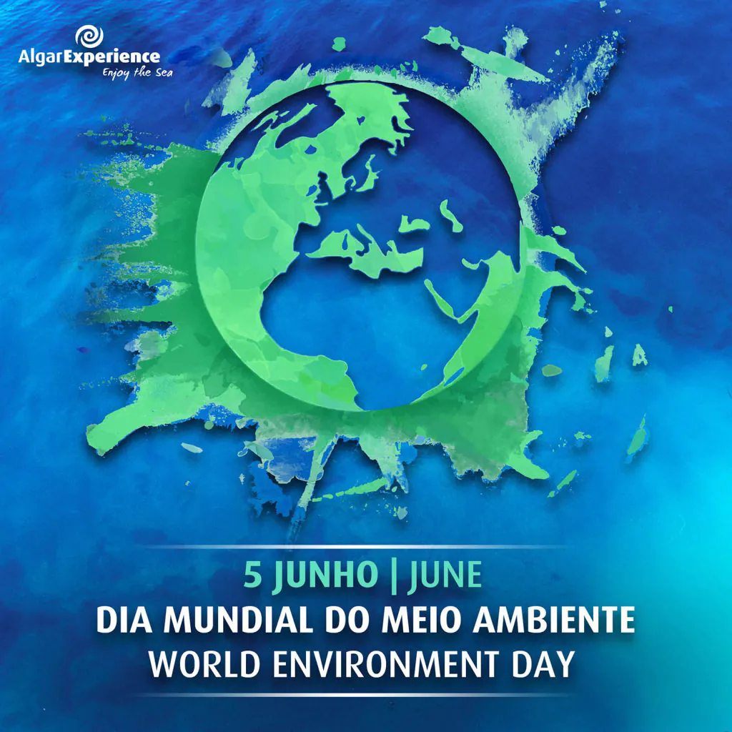 banner dia internacional do ambiente